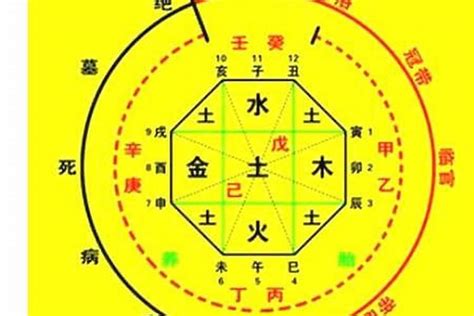 八字 十神 查詢|生辰八字算命、五行喜用神查询（免费测算）